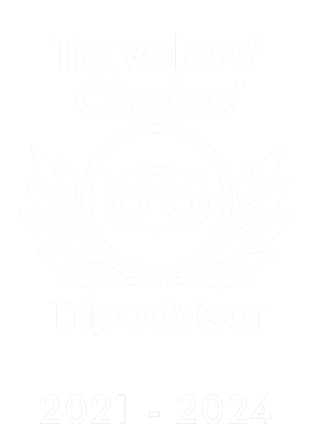 award traveler choice